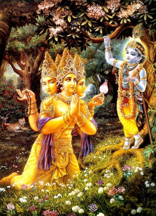 What exactly happen when Lord Brahma tested Krishna as God-shree krishna-sri krishna-stumbit krishna